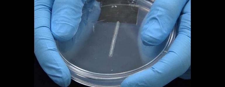 A 3D-printed liver could become a reality in 2014 - Geek